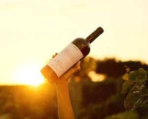 Sursa foto: facebook/ Purcari Wines